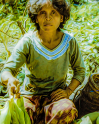 Along the roadside in Sarawak, a local farmer offers fresh corn to passersby and to bus travelers. Her produce is set against the lush tropical background. Her batik sarong illustrates the beautiful dye patterns and earth colors of traditional Malay textiles.