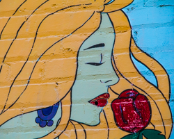 An old brick wall brightens with feminine charm.