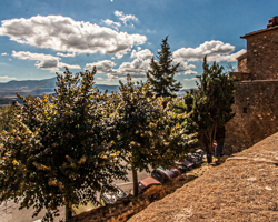 A view from Pienza, the Italian town rebuilt by Pope Pius II on humanist principles