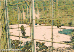Through a window of new twentieth-century construction at Rowleys Bay Resort the wooden frames contrast with the snow, forming reflections in the glass. One wonders how Peter Rowley himself, gazing through that window might reflect on his own modest logging efforts that set all of this in motion.