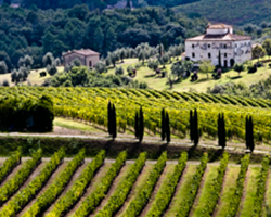 From the Tuscan village of San Gusmé the vista stretches out luxuriously across manicured vineyards and cypress-lined lanes to distant villas.