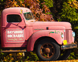 Memories of apples and cherries still cheer the old retired orchard truck.